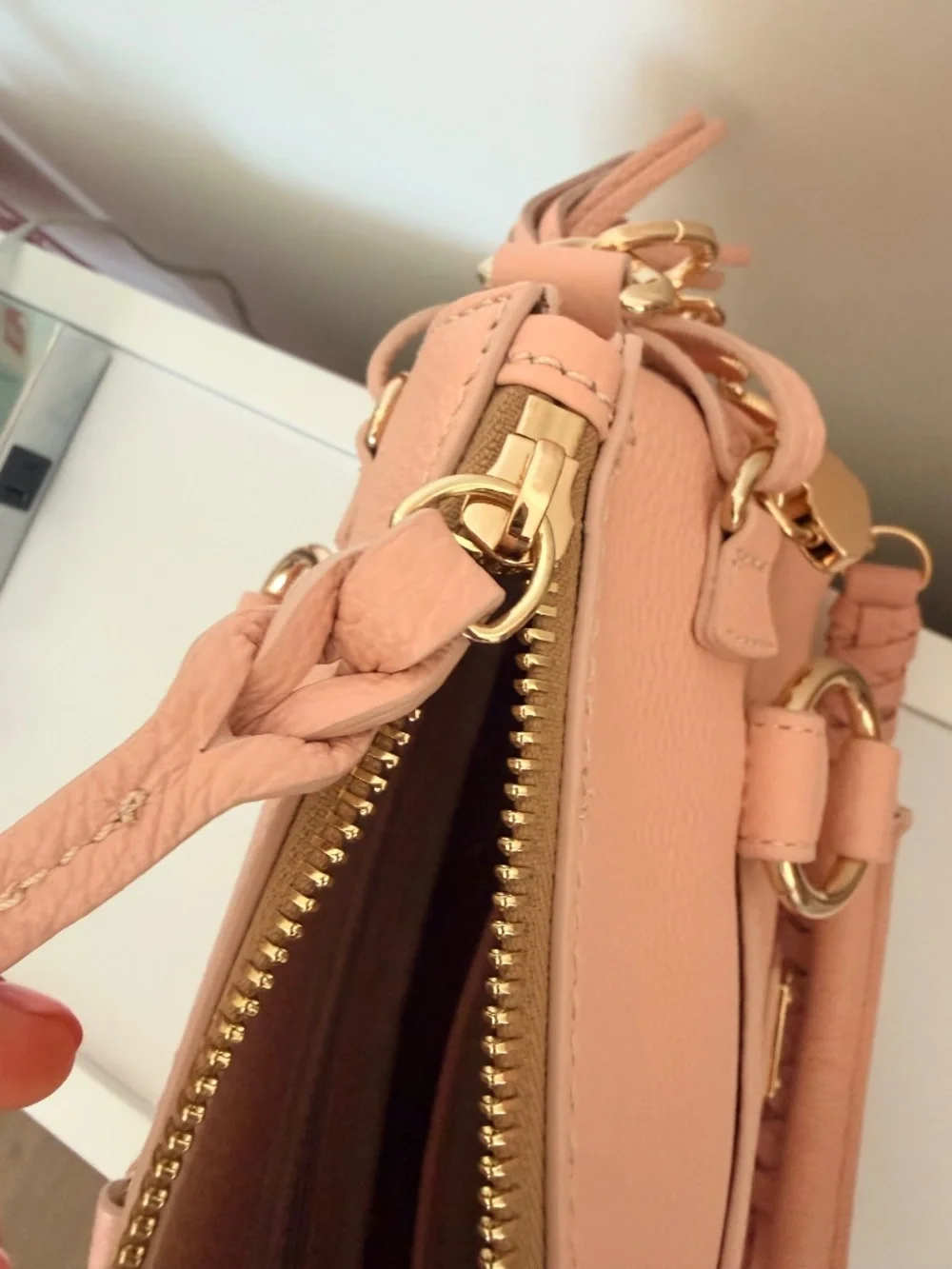 Blush Dooney & Bourke Lucca Satchel